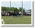 Fogathajto_2008_006