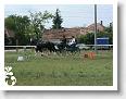 Fogathajto_2008_007
