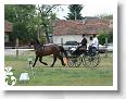 Fogathajto_2008_014