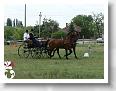 Fogathajto_2008_015