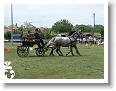 Fogathajto_2008_056