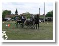Fogathajto_2008_126