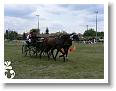 Fogathajto_2008_144