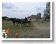 Fogathajto_2008_153
