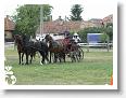 Fogathajto_2008_154