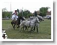 Fogathajto_2008_167