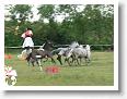Fogathajto_2008_169