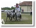 Fogathajto_2008_174