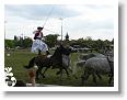 Fogathajto_2008_176