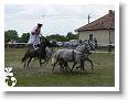 Fogathajto_2008_182