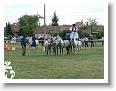 Fogathajto_2008_185