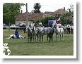 Fogathajto_2008_186