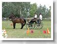 Fogathajto_2008_195