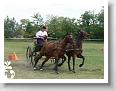 Fogathajto_2008_196