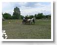 Fogathajto_2008_213