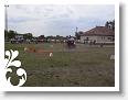 Fogathajto_2008_214