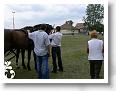 Fogathajto_2008_219
