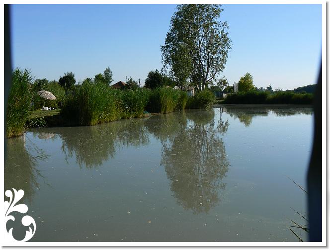 Horg_vers_2007_002