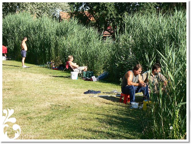 Horg_vers_2007_006