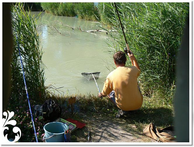 Horg_vers_2007_009