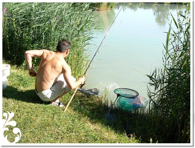 Horg_vers_2007_025