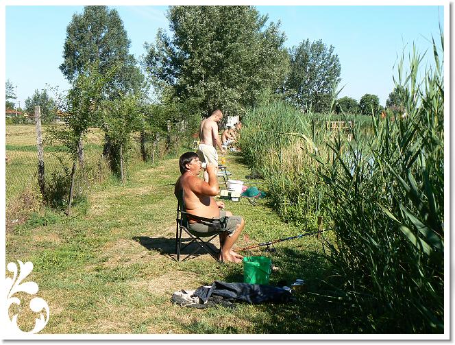 Horg_vers_2007_053