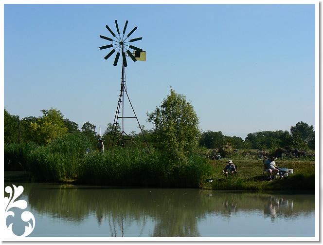 Horg_vers_2007_056