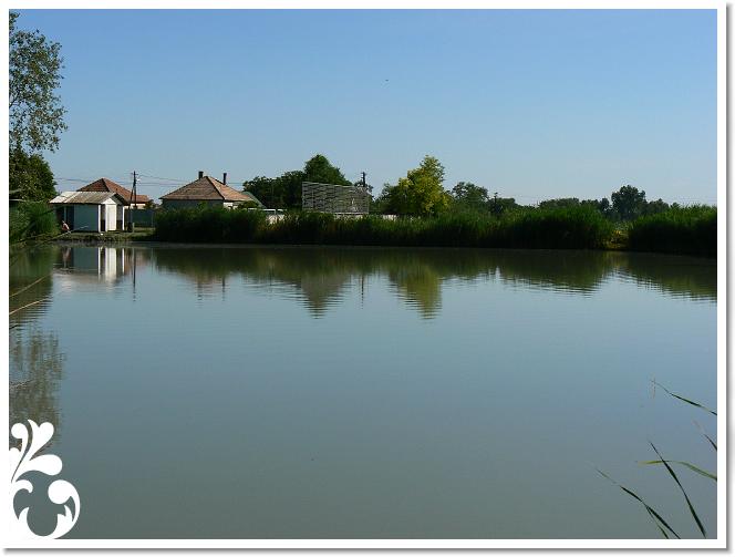 Horg_vers_2007_060