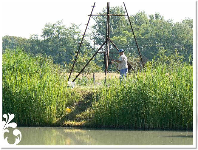 Horg_vers_2007_061