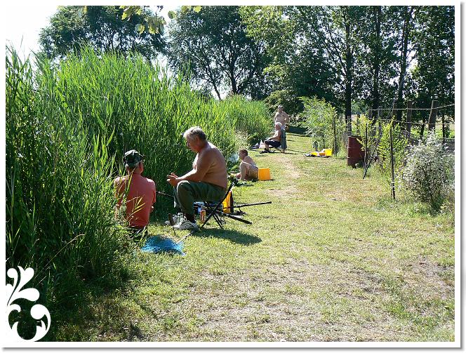Horg_vers_2007_062