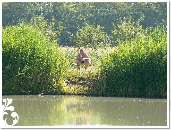 Horg_vers_2007_064