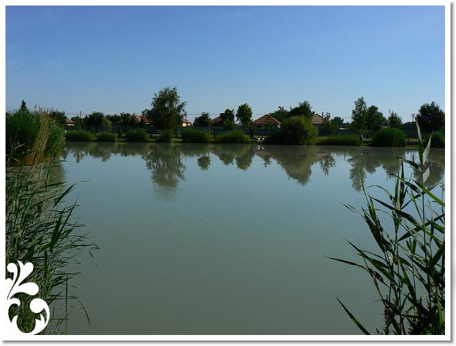 Horg_vers_2007_068