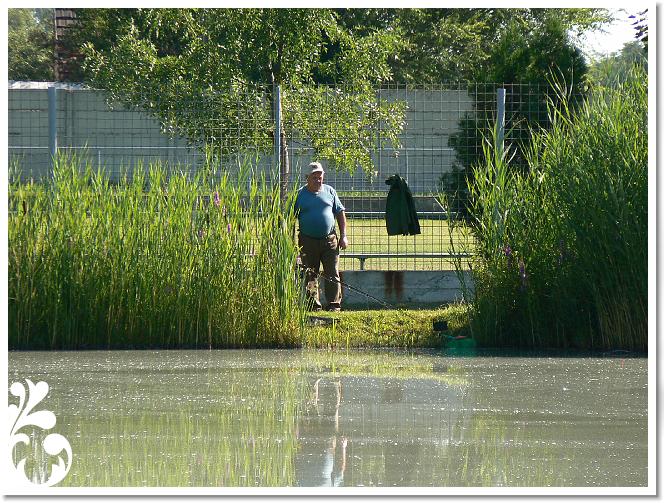 Horg_vers_2007_070