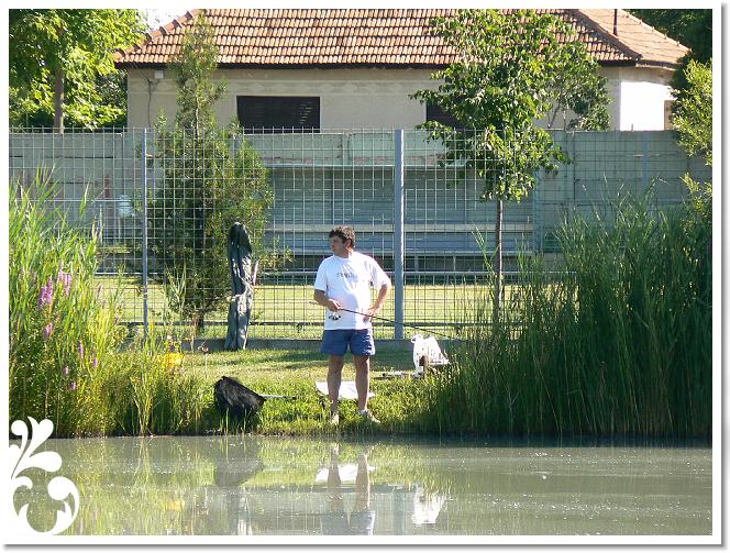 Horg_vers_2007_071