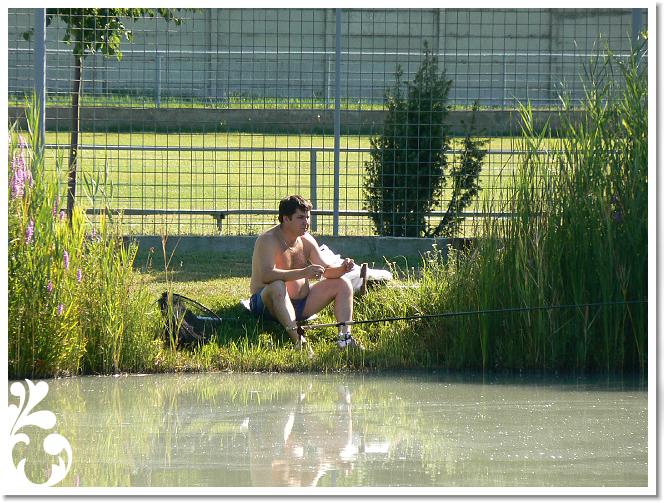 Horg_vers_2007_073