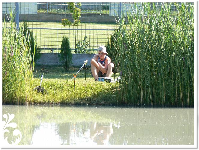 Horg_vers_2007_074