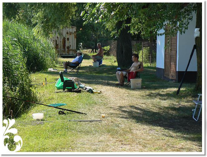 Horg_vers_2007_077