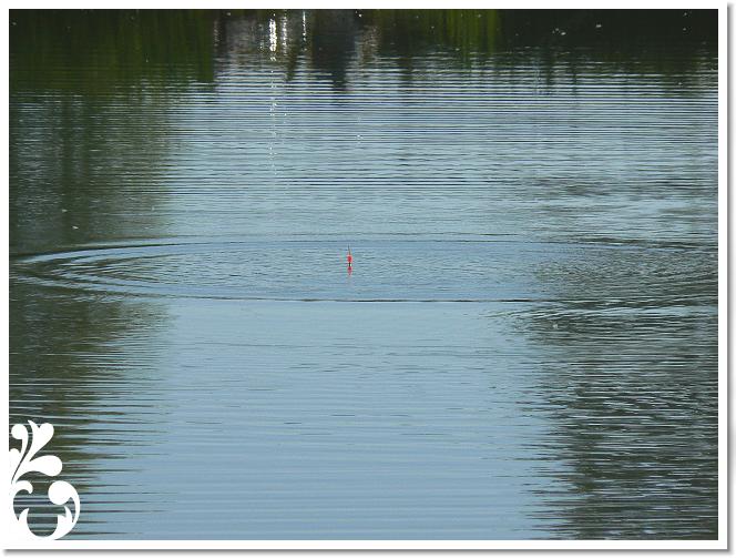 Horg_vers_2007_079
