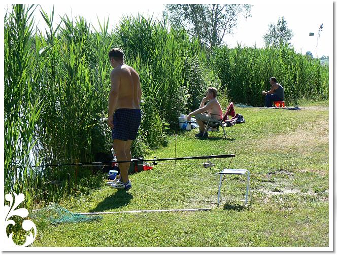 Horg_vers_2007_086