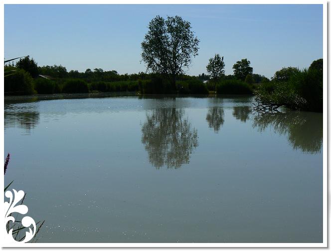 Horg_vers_2007_087