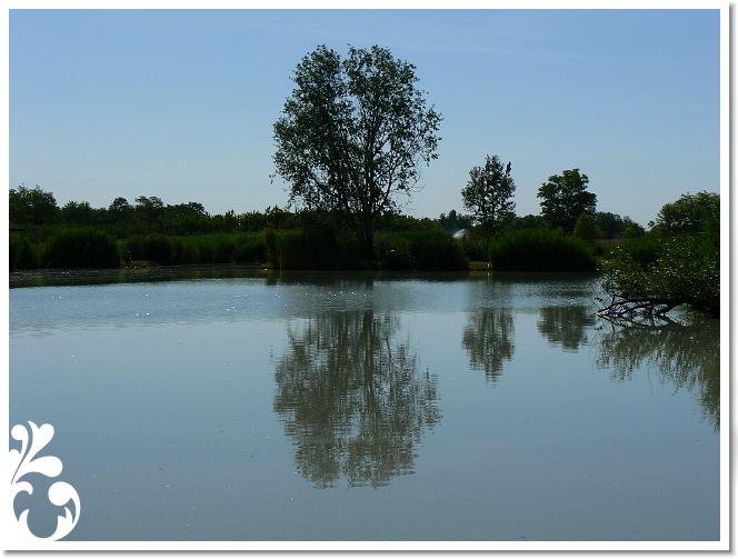 Horg_vers_2007_088