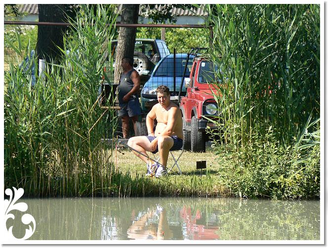 Horg_vers_2007_092