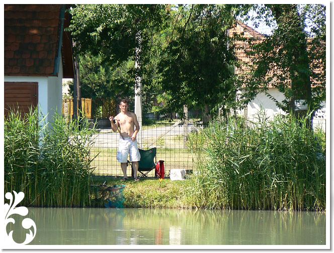 Horg_vers_2007_097