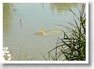 Horg_vers_2007_013