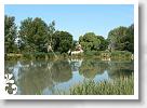 Horg_vers_2007_046