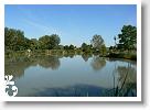 Horg_vers_2007_050