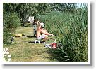 Horg_vers_2007_054