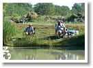 Horg_vers_2007_055