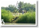 Horg_vers_2007_061