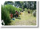 Horg_vers_2007_062